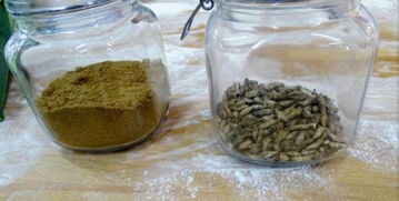 芬蘭食品公司推出世界首款蟋蟀粉面包，開(kāi)創(chuàng)可持續(xù)食品新紀(jì)元